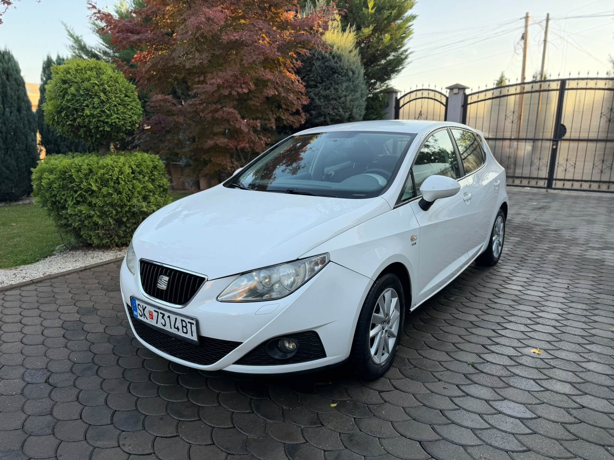 Seat Ibiza 1.6 tdi